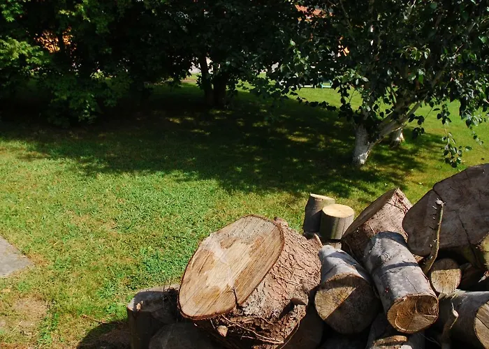 Eco 10 * Castro Urdiales