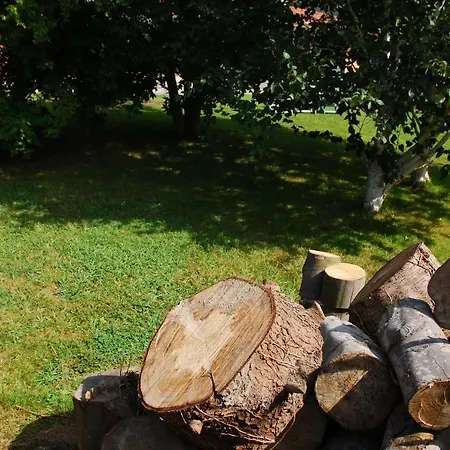 Eco 10 * Castro-Urdiales